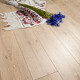 Ламинат FloorBee Costa AC5/33 4V (1380х190х8 мм) 1191 Коста де Альмериа ( 2,0976 кв.м.)