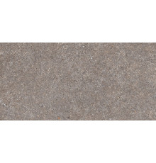 Belgravia Grey Matt 60x120