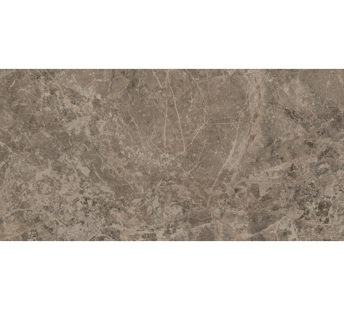 Виктори Тайп 60x120
