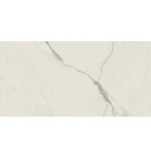 Эмпаир Статуарио 60x120