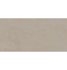 Ринашенте Клэй 60x120