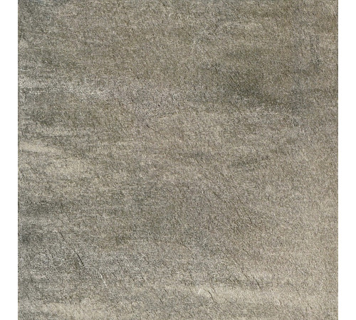 Walks 1.0 Gray Soft 60x60