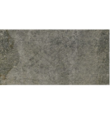 Walks 1.0 Gray 30x60