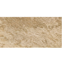 Walks 1.0 Beige 30x60