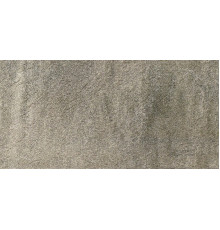Walks 1.0 Gray Soft 30x60