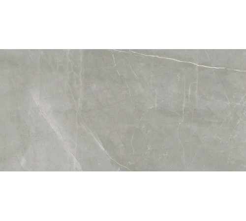 Timeless Amani Grey Grip 30x60