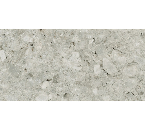 Timeless Ceppo Di Gre Lucido 30x60