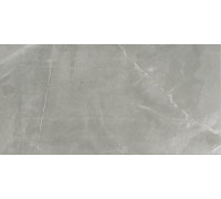 Timeless Amani Grey Glossy 60x120