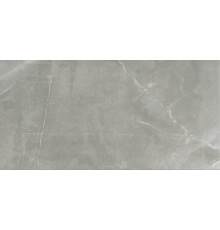 Timeless Amani Grey Glossy 60x120