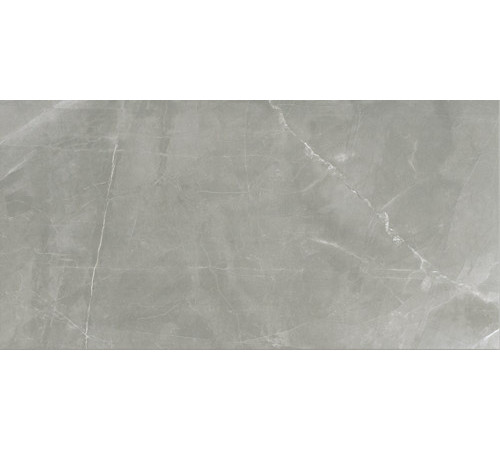 Timeless Amani Grey Glossy 60x120