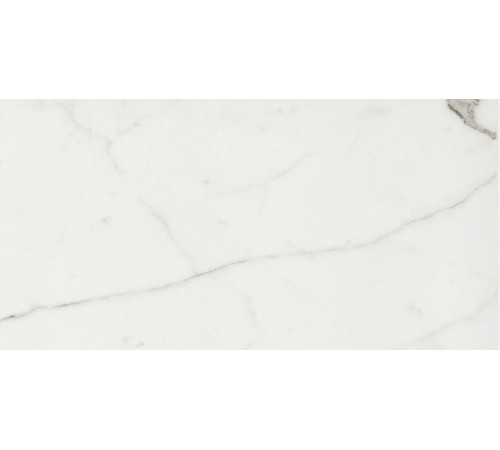 Timeless Calacatta Nat 30x60