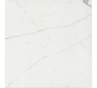 Timeless Calacatta Nat 60x60