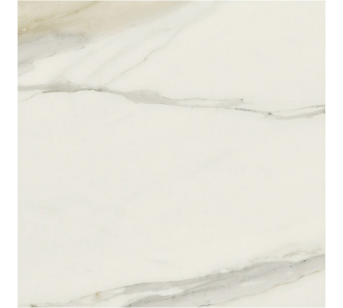 I Classici Cal.Gold Glossy 80x80