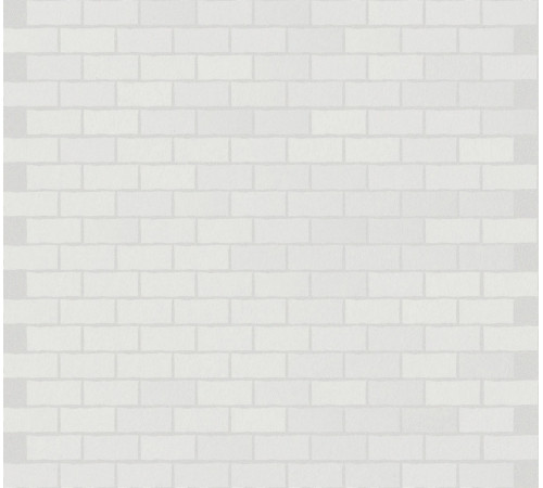 B&W Marble White Naturale 6 Mm 1,5x3 Mos 30x30