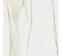 I Classici Calacata Gold Matte 60x60