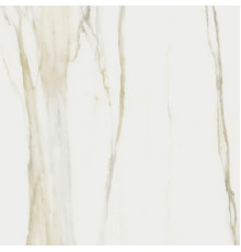 I Classici Calacata Gold Matte 60x60