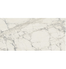 Prexious Rex Mountain Treasure Glossy 60x120