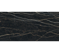 Prexious Rex Thunder Night Glossy 60x120