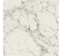 Prexious Rex Mountain Treasure Glo 60x60