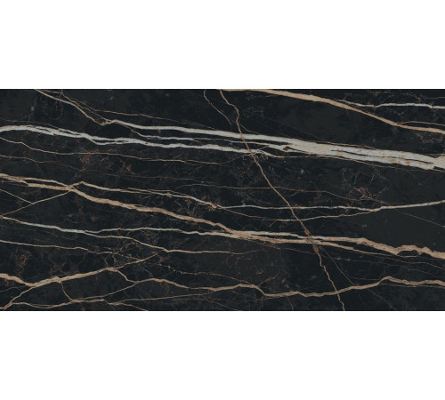 Prexious Rex Thunder Night Mat 30x60