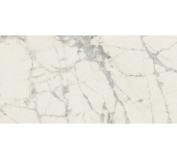 Prexious Rex Mountain Treasure Glo 30x60