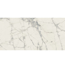 Prexious Rex Mountain Treasure Glo 30x60