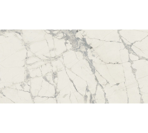 Prexious Rex Mountain Treasure Glo 30x60