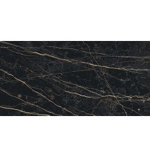 Prexious Rex Thunder Night Glo 30x60