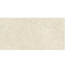 Stontech 4.0 Stone 02 30x60