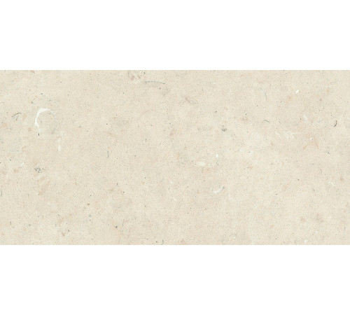 Stontech 4.0 Stone 02 30x60