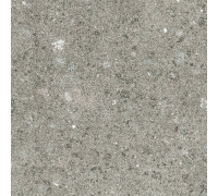 Stontech 4.0 Stone 04 R+Ptv 60x60