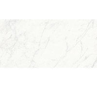 Stontech 4.0 Stone 01 High-Glossy 6 Mm 60x120
