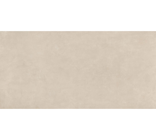 Buildtech 2.0 Ce Bone+Ptv 6 Mm 120x240