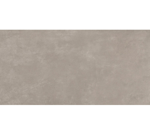 Buildtech 2.0 Ce Mud Nat 6 Mm 60x120