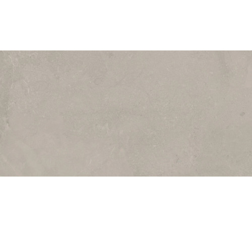 Elemental Stone Grey Limestone Nat 60x120