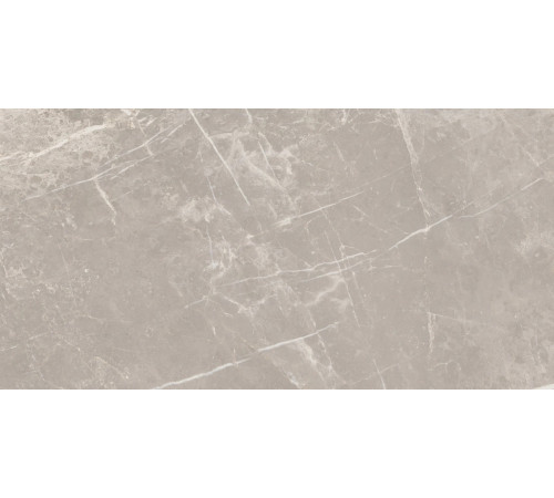 Elemental Stone Grey Dolomia Nat 30x60