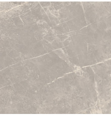 Elemental Stone Grey Dolomia Lucido 60x60