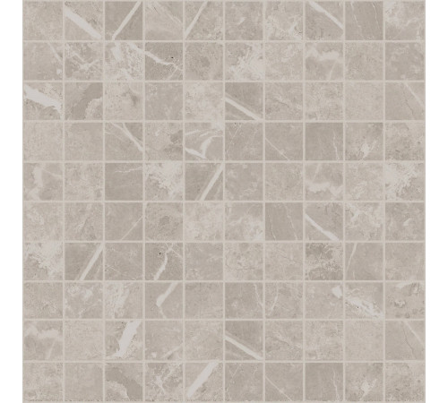 Elemental Stone Grey Dolomia 3x3 Mos Lucido 30x30