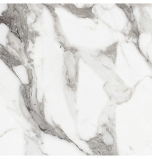 Origines De Rex Argent Glossy 60x60