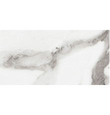 Origines De Rex Argent Matte 30x60