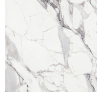 Origines De Rex Argent Matte 6mm 120x120