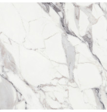 Origines De Rex Argent Matte 6mm 120x120
