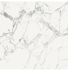 Origines De Rex Blanc Glossy 6mm 120x120