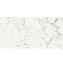 Origines De Rex Blanc Matte 6mm 120x240