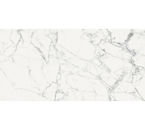 Origines De Rex Blanc Matte 6mm 120x240