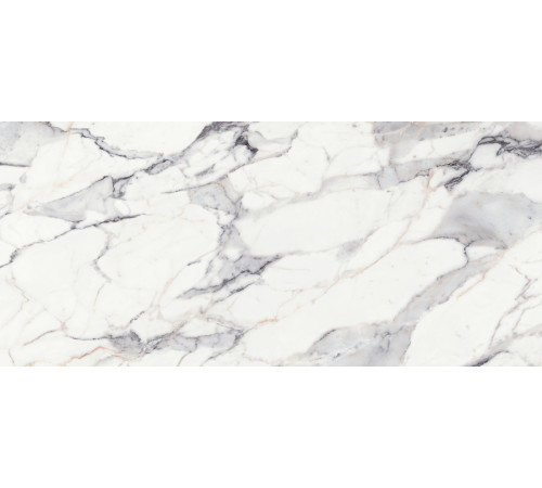 Origines De Rex Argent Matte 6mm 120x280