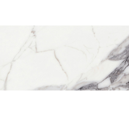Origines De Rex Argent Matte 6mm 60x120