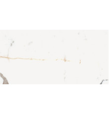 Origines De Rex Or Matte 6mm 60x120