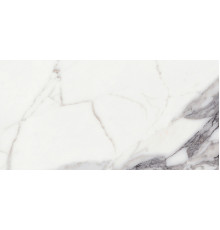 Origines De Rex Argent Glossy 6mm 60x120