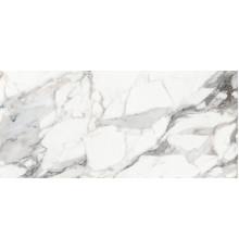 Origines De Rex Argent Matte 80x180